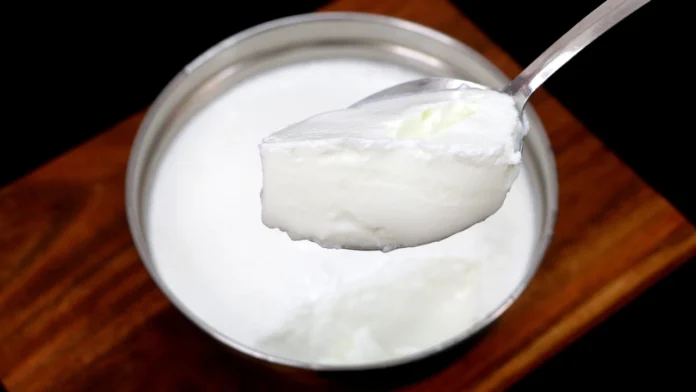 தினமும் தயிர் சாப்பிடலாமா