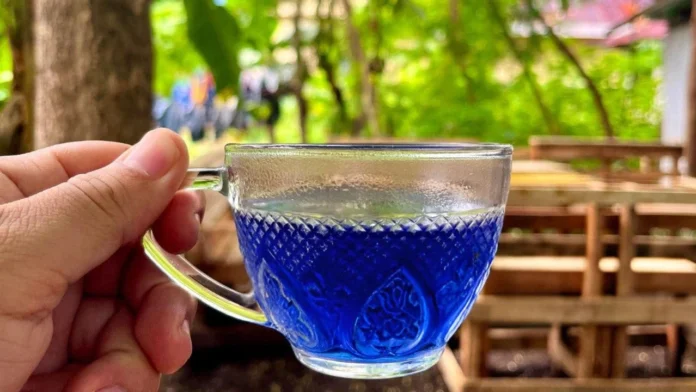 sangu poo tea benefits in tamil
