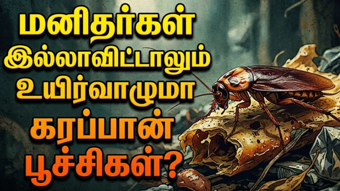 கரப்பான் பூச்சிகள்
