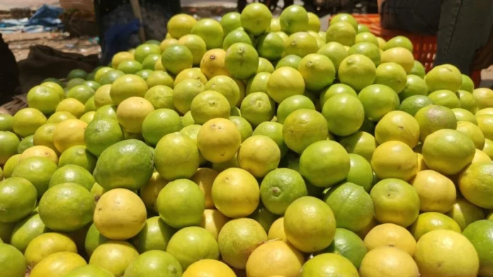 எலுமிச்சை விலை