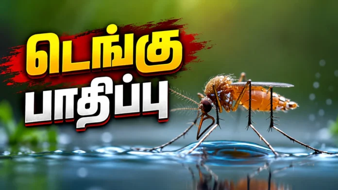 டெங்கு பாதிப்பு